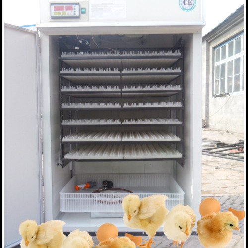 1232 eggs full automatic chicken egg incubator yzite-11