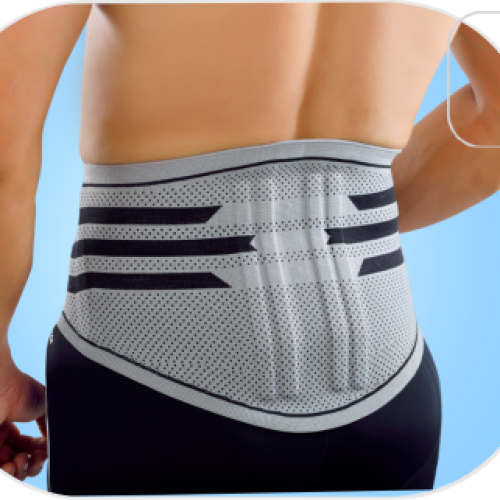 Back and abdominal belts