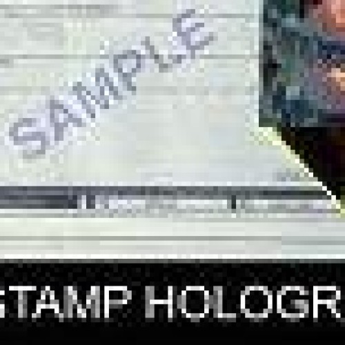 Hot stamp holograms