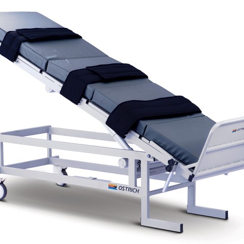 Ward care bed