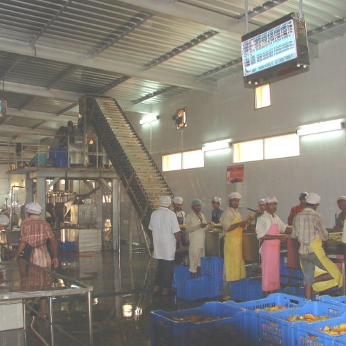 Mango processing machinery