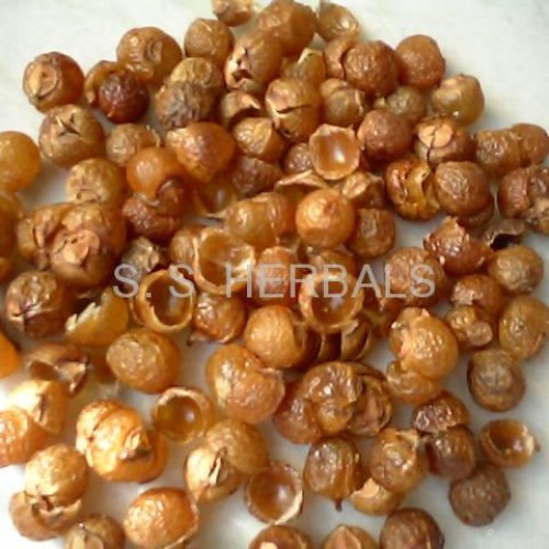 Soap nuts , soapnut shell