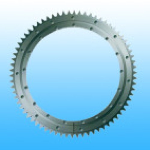 Torriant gianne slewing bearing for water treatment plant
