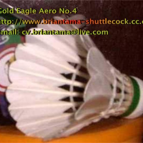 Gold eagle aero no.4