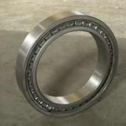Single row full complement cylindrical roller bearings