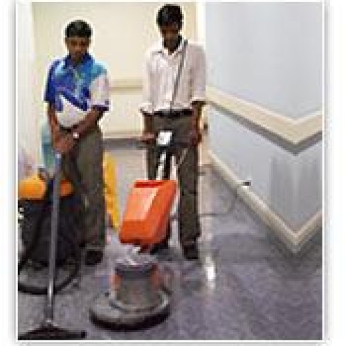 Carpet & upholstery cleaning services