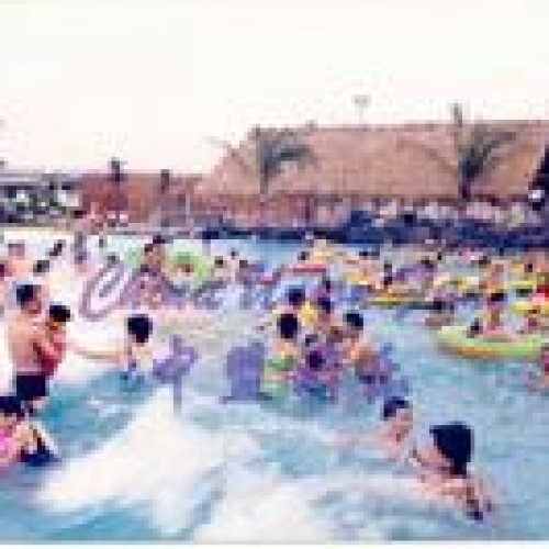 Wave pool/wave machine/water park: wrw004