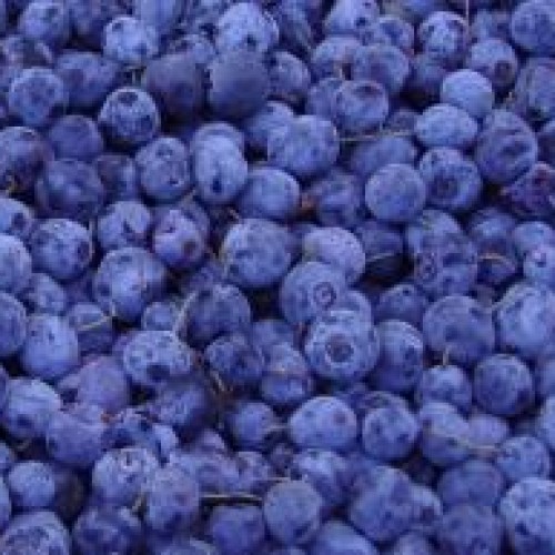 Blueberry anthocyanin