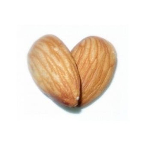 Fresh chestnut
