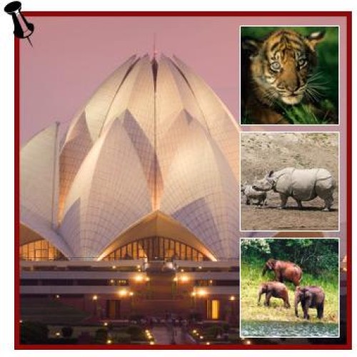 Golden triangle with wildlife tour