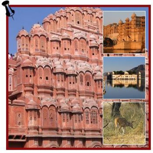 Special rajasthan tour