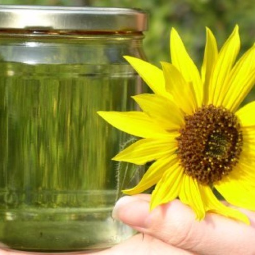Sell sunflower oil