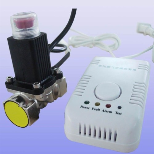 Natural gas detector with cut off valve