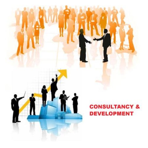 Consultancy and development of magento