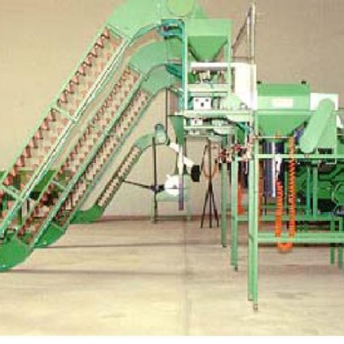 Cashew nuts processing plant