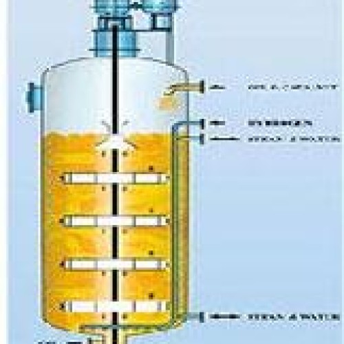 Hydrogenation plant auto clave section