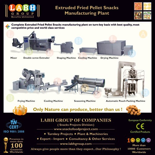 Extruded fried snacks pallet production  line