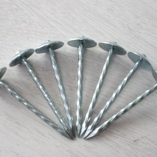 Twisted shank roofing nails/ screw 