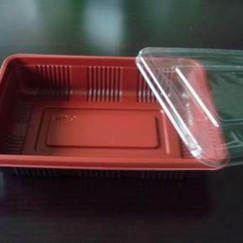 Plastic sushi container/tray