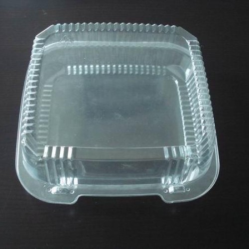  plastic disposable food container