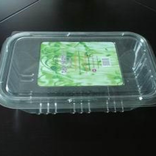 Disposable vegetable container/pack