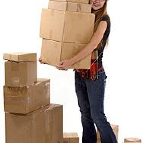 Packing and Moving Services in Delhi