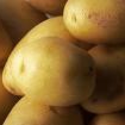 Fresh and frozen vegetable potato