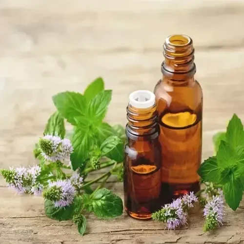 Menthol, Aromatic and Essential Oils