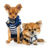 Animal Clothings and Accessories
