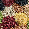 Seeds