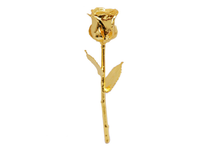 Gold dipped real rose 11.5inch in red mdf box