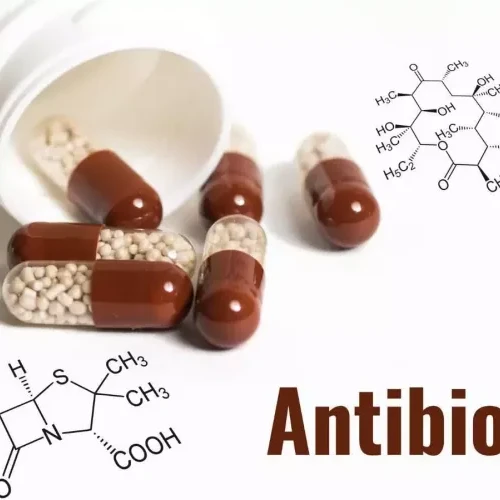 Chloramphenicol antibiotic