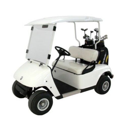 2 seater electric vehicle
