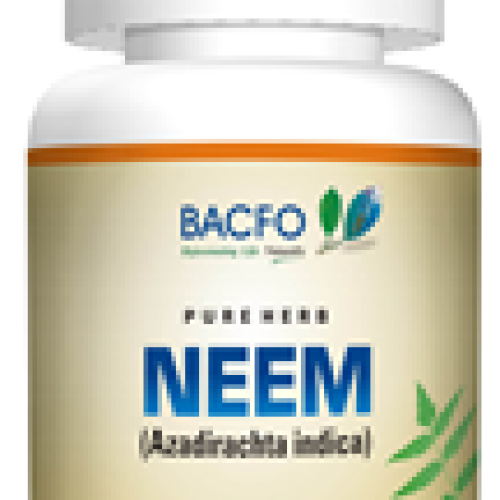 Azadirachta indica (neem)