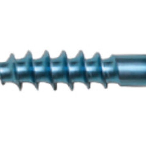 Tibial post fixation screw