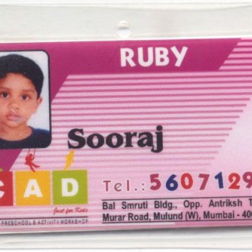 Laminated id cards