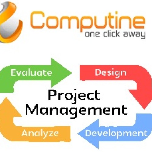 Project management