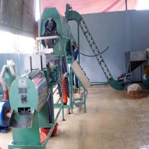 Cashew kernel peeling machine