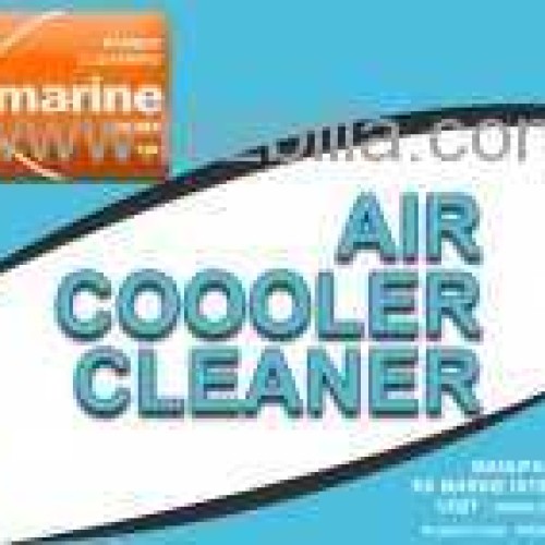 Air cooler cleaner