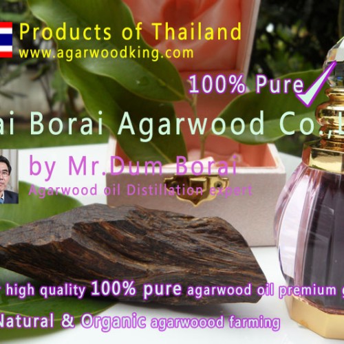 100% pure agarwood oil
