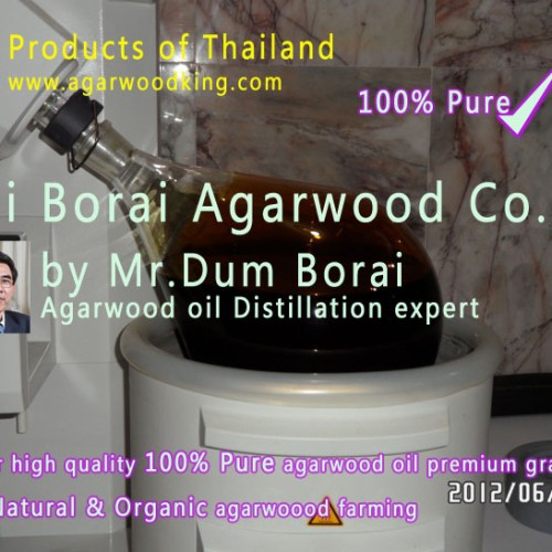 Agarwood oil,oud oil