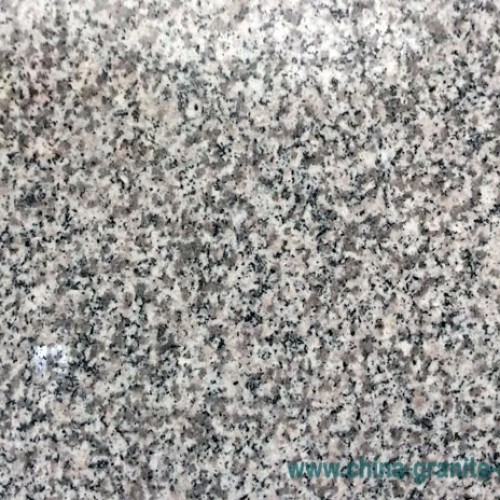 G623 gangsaw slabs -china grey granite slabs and big slabs