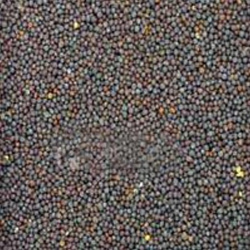 Mustard seeds