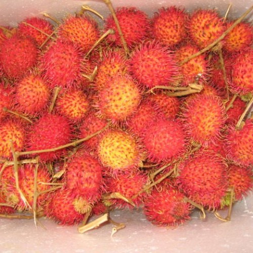 Fresh rambutan fruit