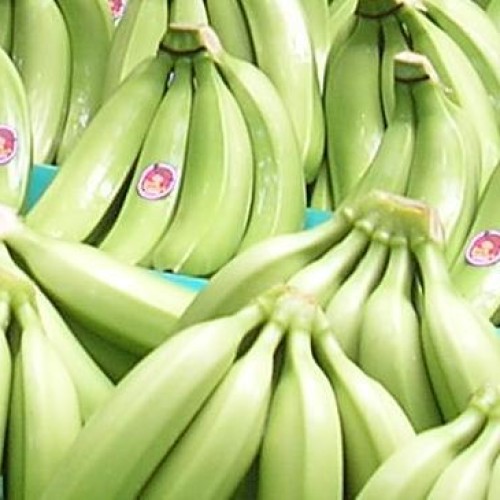 Fresh banana