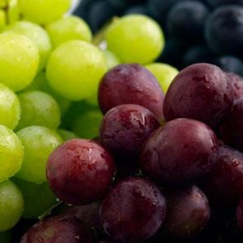 Fresh grapes