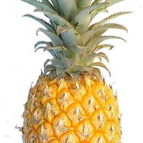 Fresh Pineapple