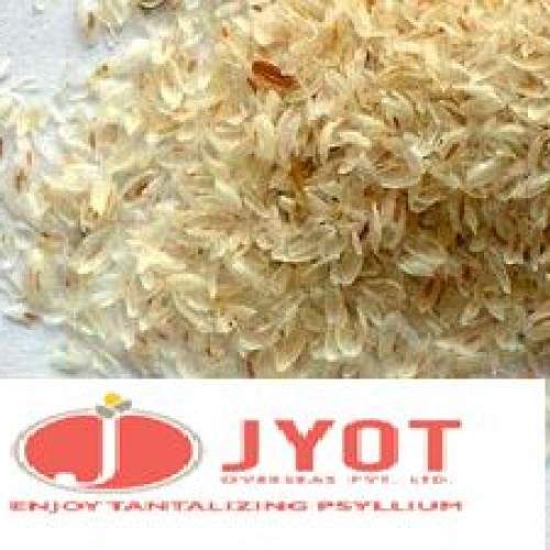 Psyllium husk