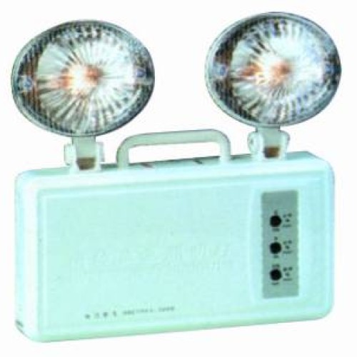 Emergency double-head light