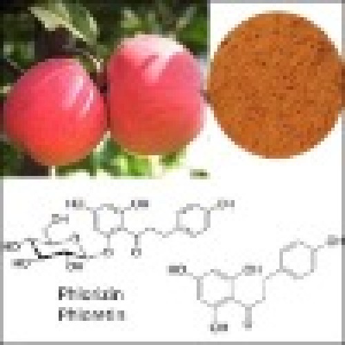 China apple root skin extract